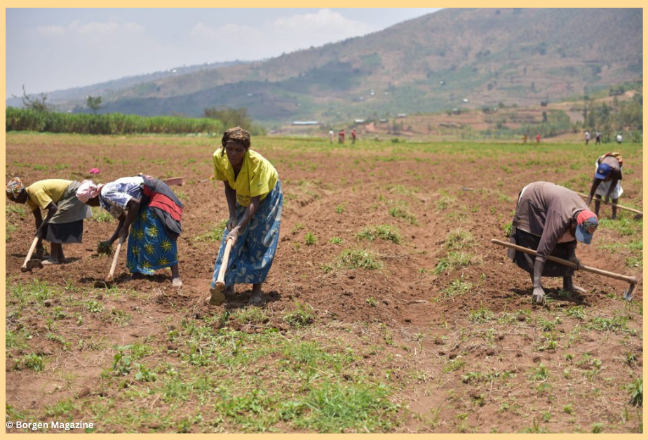 Farming for Resilience: The Overlooked Potential of Smallholder Farmers in Combating Climate Change and Strengthening Food Security?